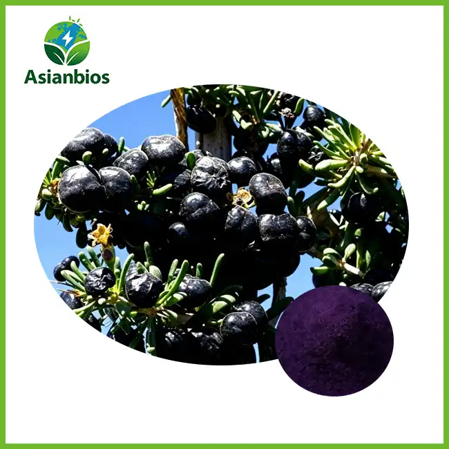 Black Goji Extract